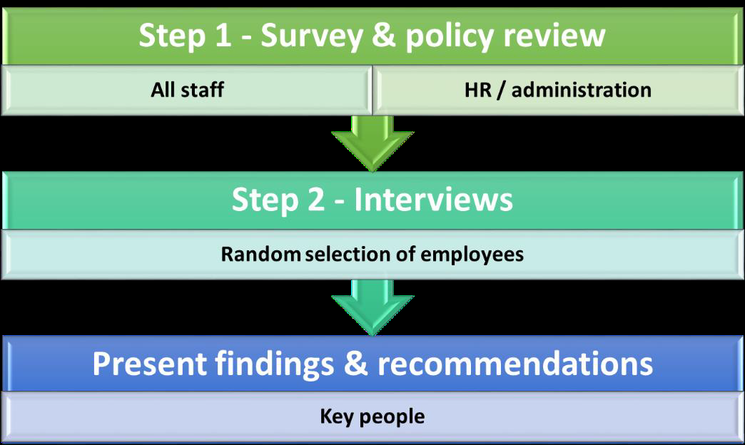 The audit process steps